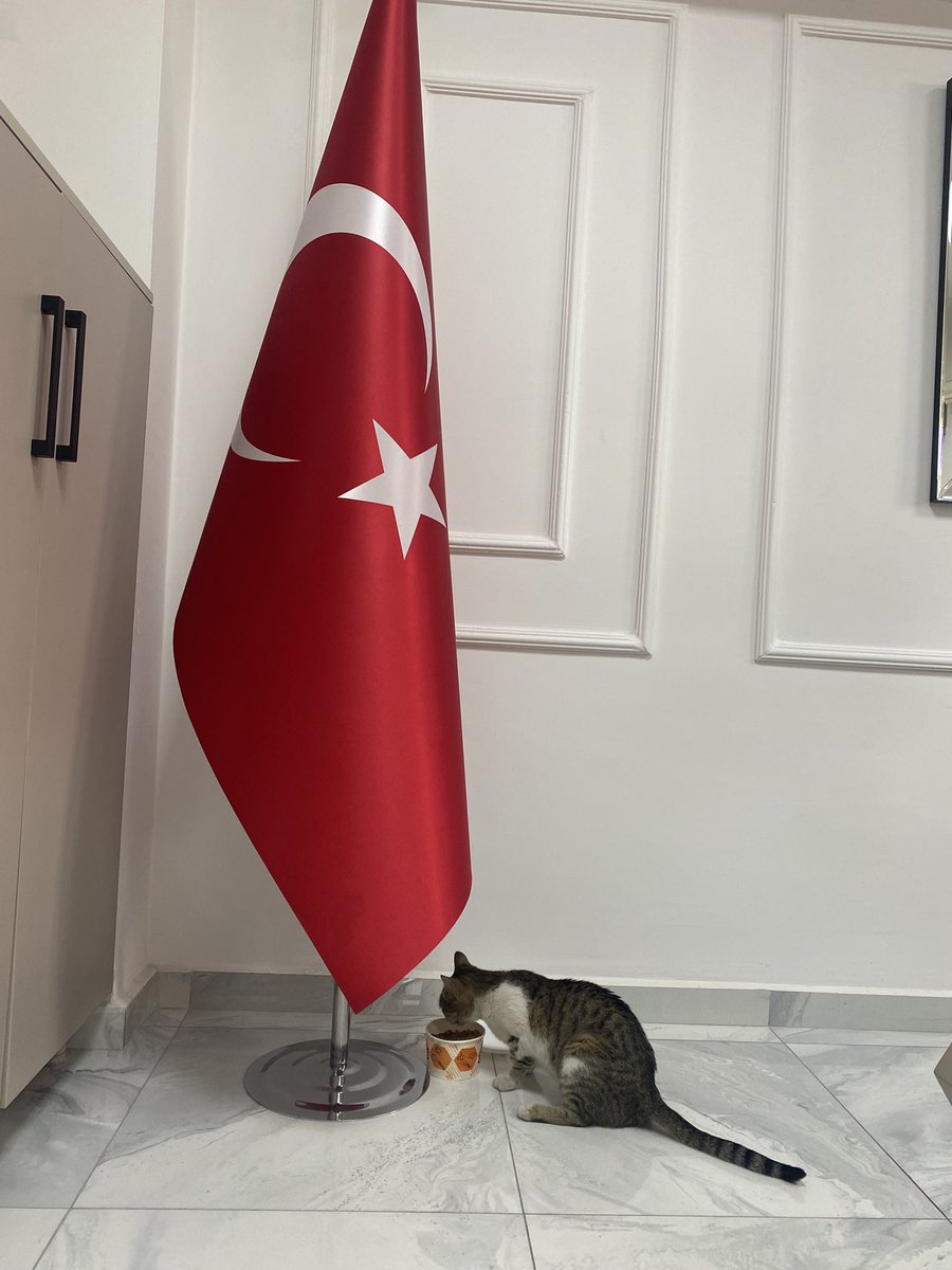 Dalgalandığın yerde ne korku, ne keder.