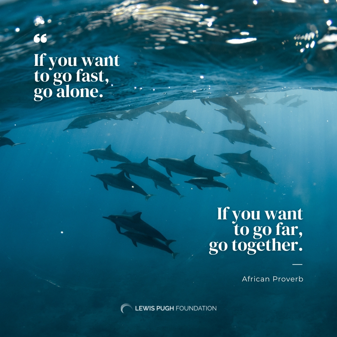 LewisPughFDN's tweet photo. This year, please donate to support our mission to secure stronger marine protection, advocate for the world’s most threatened ocean ecosystems, and tell the compelling stories that move leaders to act for our planet’s future.

🌊👉💙 https://t.co/9XyZ5QIbFE https://t.co/jcru8BsHQz