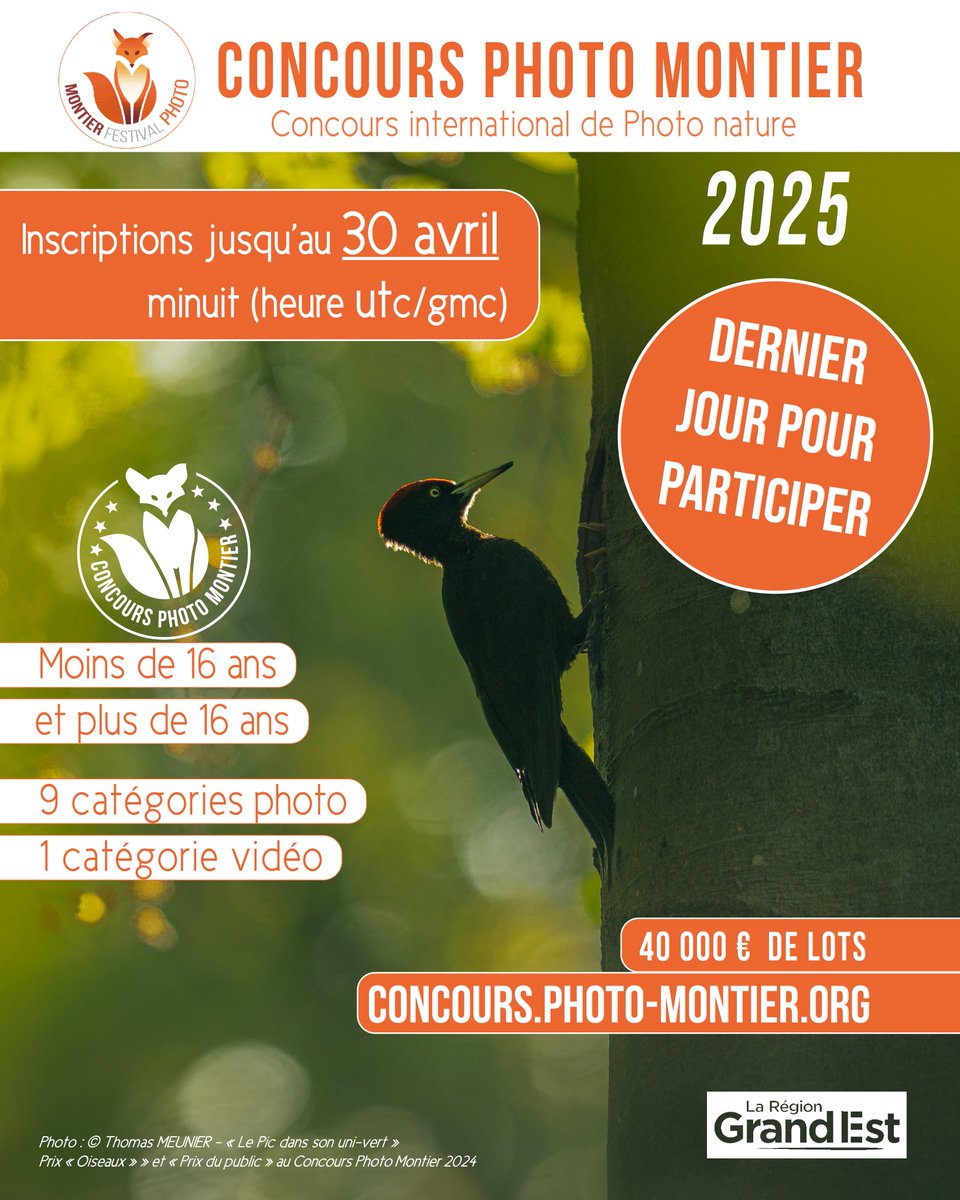 📷⏰ 𝐂𝐨𝐧𝐜𝐨𝐮𝐫𝐬 𝐏𝐡𝐨𝐭𝐨 𝐌𝐨𝐧𝐭𝐢𝐞𝐫 : 𝐩𝐥𝐮𝐬 𝐪𝐮𝐞 𝐪𝐮𝐞𝐥𝐪𝐮𝐞𝐬 𝐡𝐞𝐮𝐫𝐞𝐬 𝐩𝐨𝐮𝐫 𝐩𝐚𝐫𝐭𝐢𝐜𝐢𝐩𝐞𝐫 ❗
Sélectionnez vos plus beaux clichés et vidéos : 𝐜𝐥𝐨̂𝐭𝐮𝐫𝐞 𝐜𝐞 𝐬𝐨𝐢𝐫 ! 📷🦊
👉 concours.photo-montier.org

#montierfestival #montierconcours