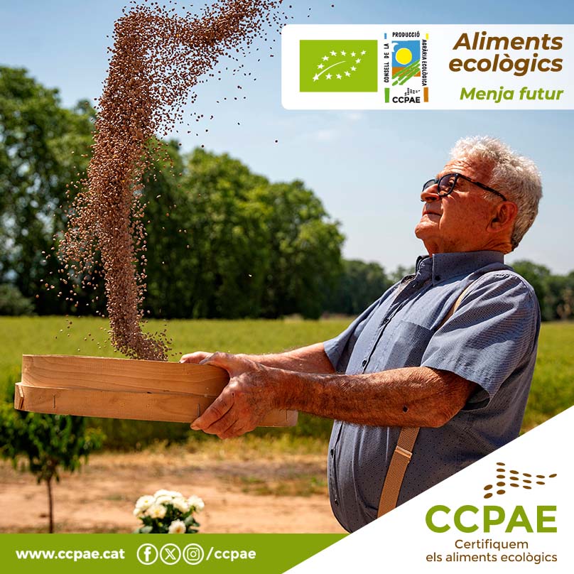 🔖 "Al maig, a segar me'n vaig."
Maig arriba amb aquesta foto del Calendari 2025 del Salvi Safont aventant les llenties amb el grael que produeix de manera ecològica al Parc Natural de Gallecs.
📷 Patxi Uriz
👤 Operador: CT/1361/P EGAM Gallecs, SCP
📌 Gallecs (Vallès Oriental)