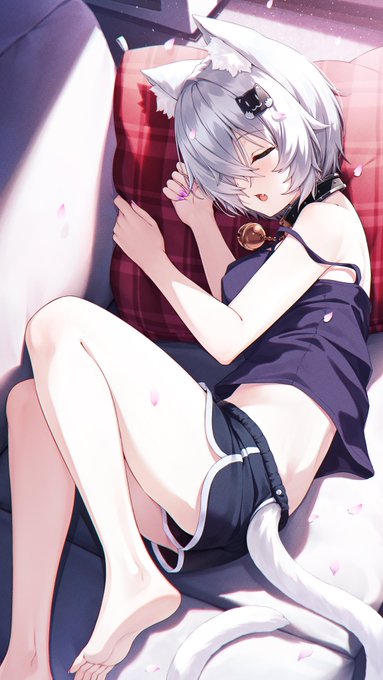 春のぽかぽか陽気でスヤスヤくおんちゃん  完成🐈 