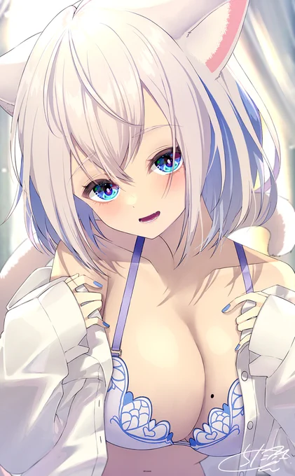 白猫ちゃん 
