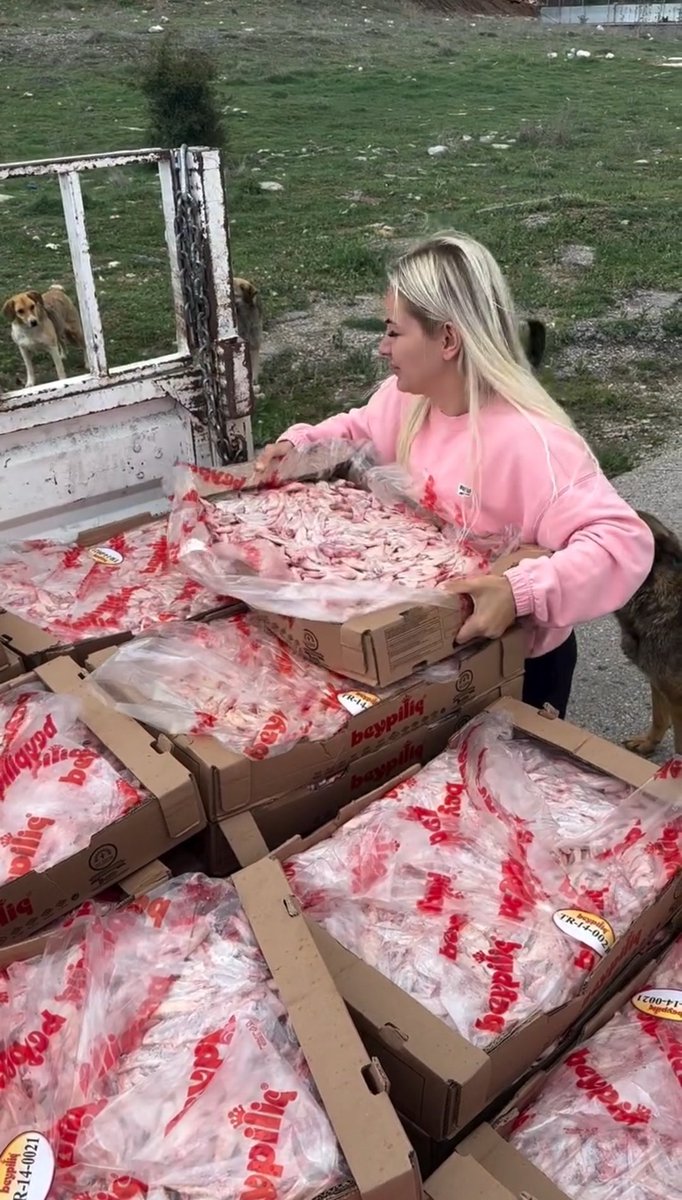 Türk çocuğuna

/

Sokak itine