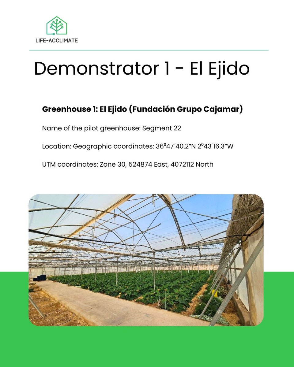lifeacclimate's tweet image. DEMOSTRATOR 1 - El Ejido

Located in southeastern Spain, the El Ejido greenhouse will conduct demonstration activities with Tomato Realsol across three growing seasons (February 2026 to July 2027). 🌱 🍅

#LIFEACCLIMATE #foodpreservation #agriculture #climatechange #agritech
