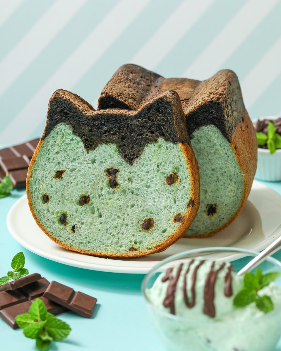 チョコミン党さん集合〜！🍫🌱 ╰━━━━v━━━━━━╯ 「ねこねこ