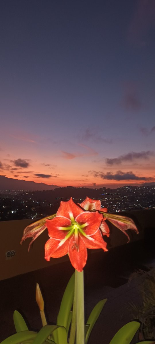 #amanecer en #Caracas