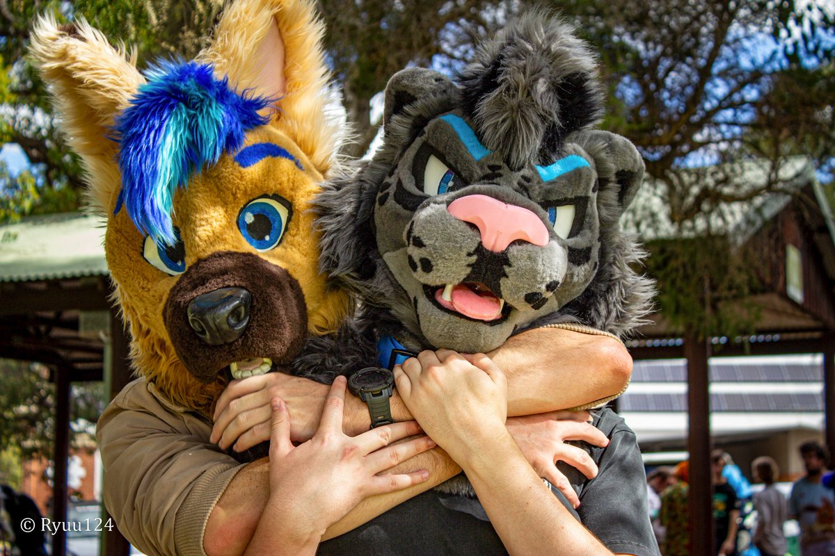 CobaltK9's tweet image. PARK MEETS WITH THESE LEGENDS~ 🤙

Cheers @SemaphoreSigFur for throwing such a great meet.

Photos by @Ryuu130