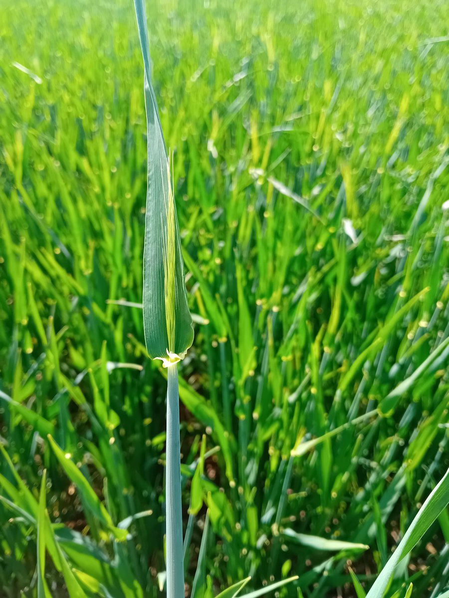 Duncan Wilson tweet media