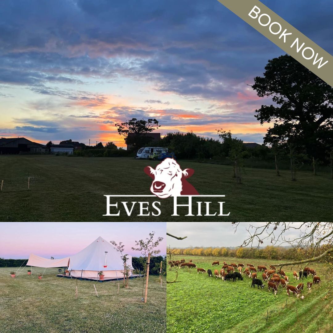 Looking for a last-minute escape this May Bank Holiday?

Eves Hill Farm in the heart of Norfolk has camping pitches available this weekend! 🐄

To Book, call 07870490159
More info: thetouristtrail.org/business/norfo…

#MayBankHoliday #NorfolkCamping #EvesHillFarm #TheTouristTrail