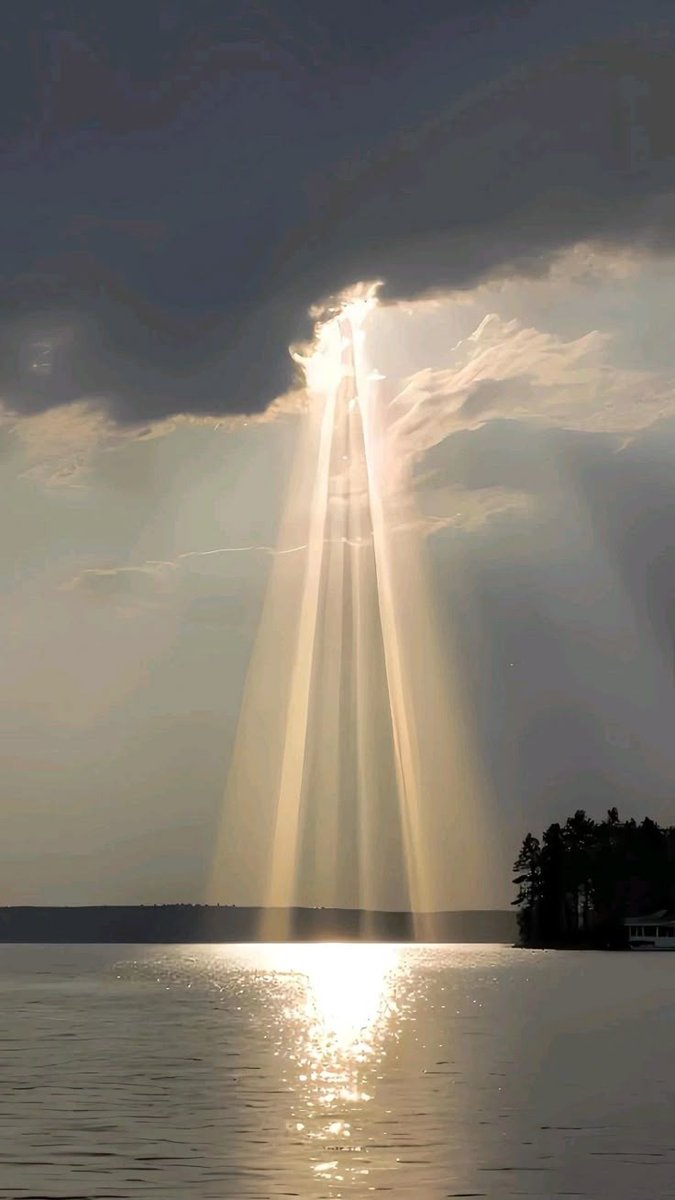 naturebeautyh's tweet image. 