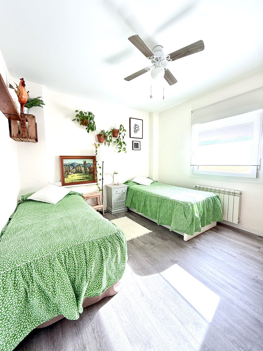 Alamo Shock tweet media