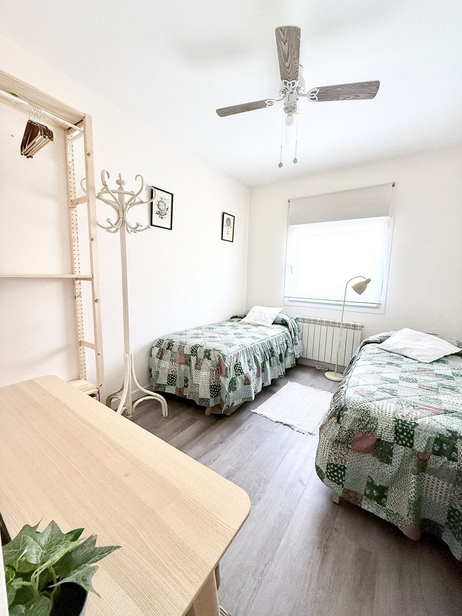 Alamo Shock tweet media