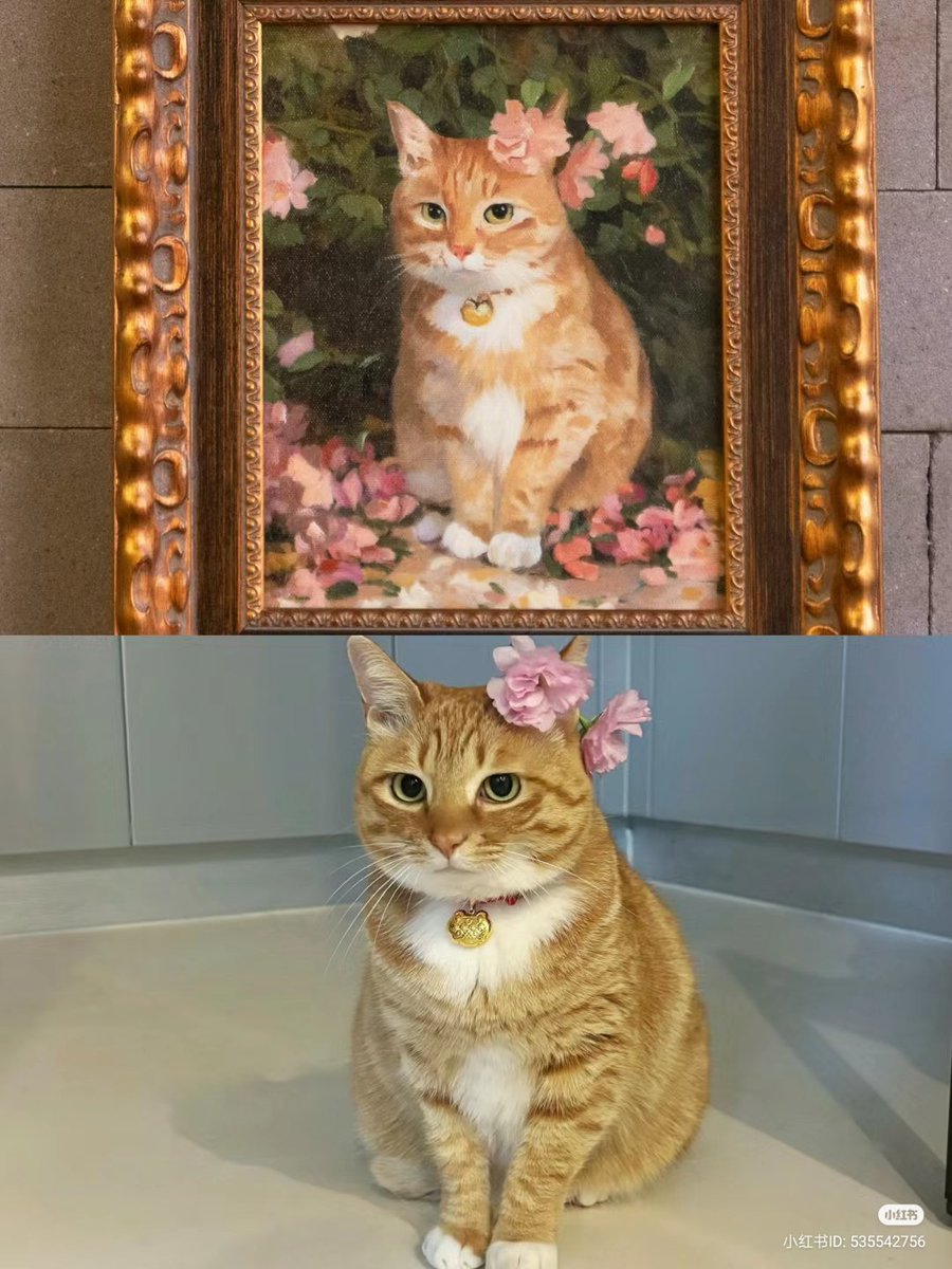 No Context Cats tweet media
