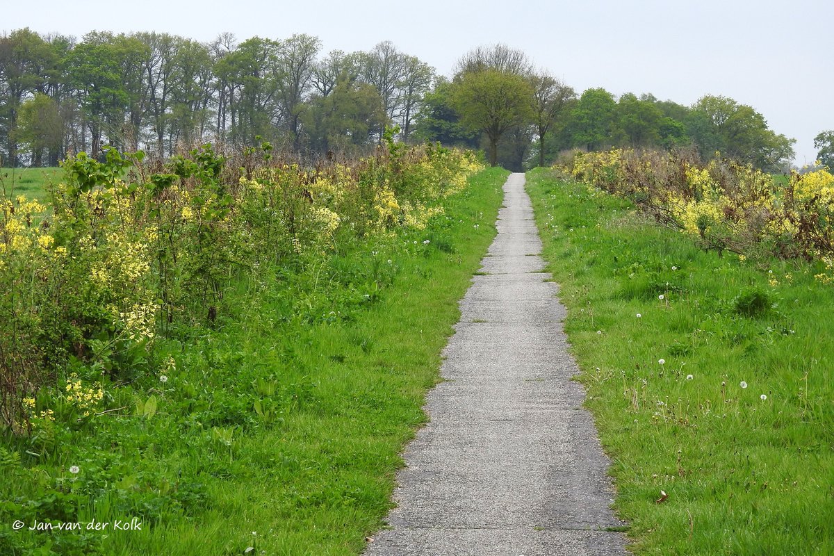 BekiekTwente's tweet photo. Bentelose Es #Bentelo #Beantel
En dan zie je ineens een fazantenhaan (of woerhaan).
#HofVanTwente #Twente #BekiekTwente https://t.co/CfvXIoi4Tj