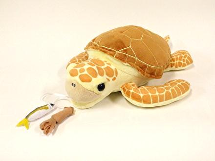 新江ノ島水族館 on X