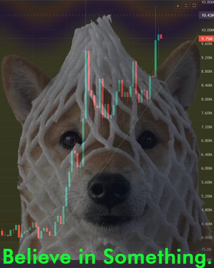 Lukescall's tweet photo. $wDOG iykyk💎 https://t.co/md3GBce97Y