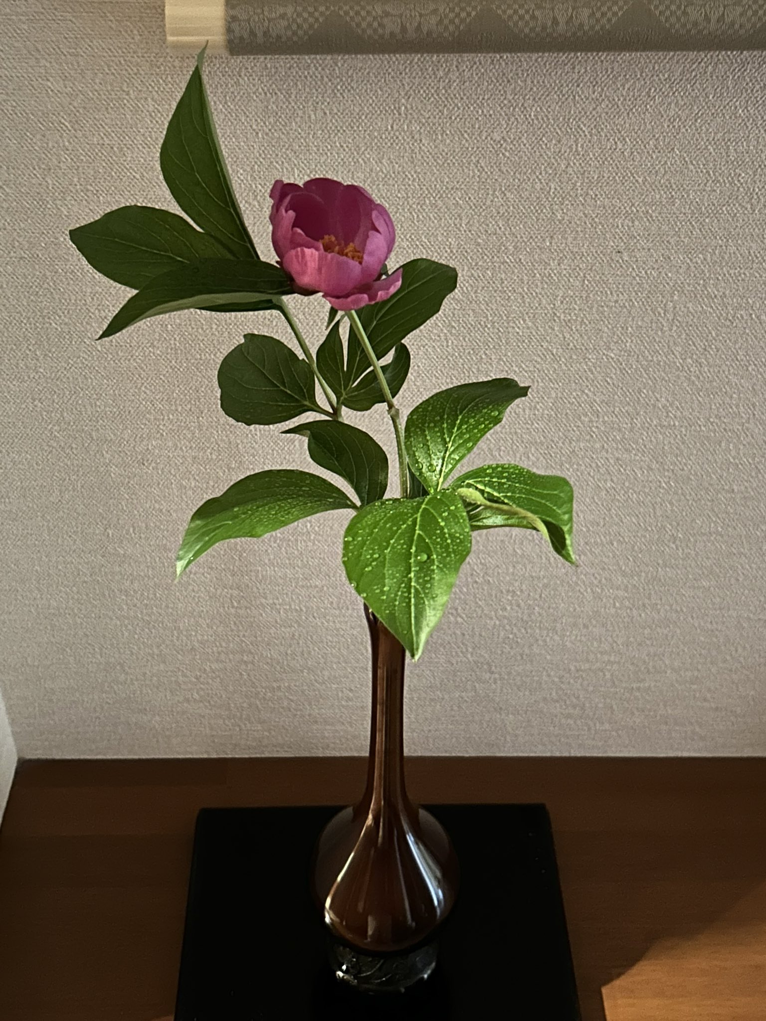 陶板 芍薬の花 Ka.I on X: