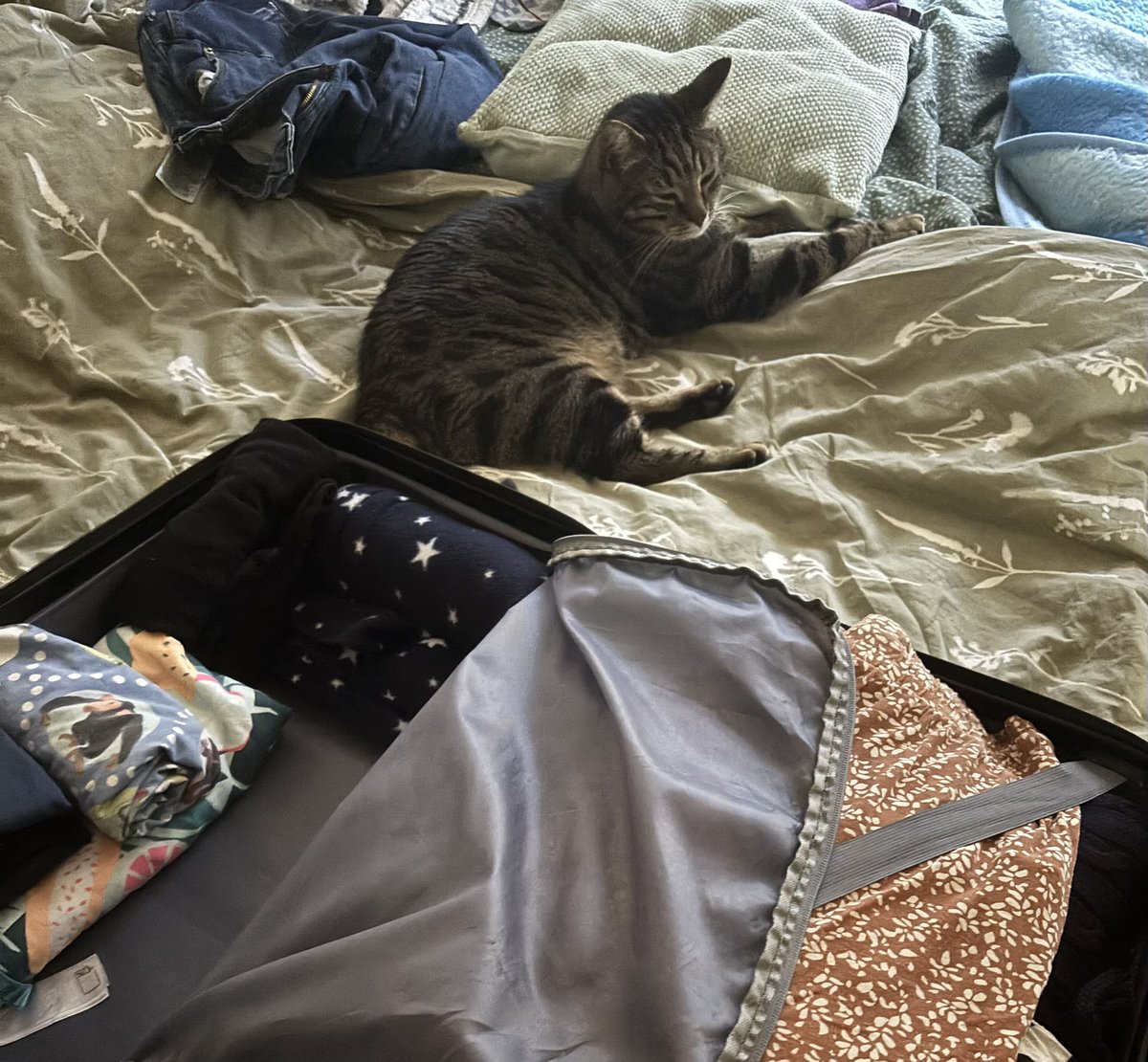 Ne me quitte pas 😿