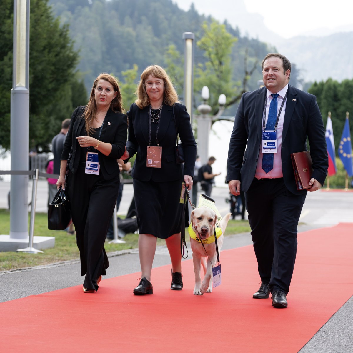 British Embassy Ljubljana 🇬🇧🇸🇮 tweet media