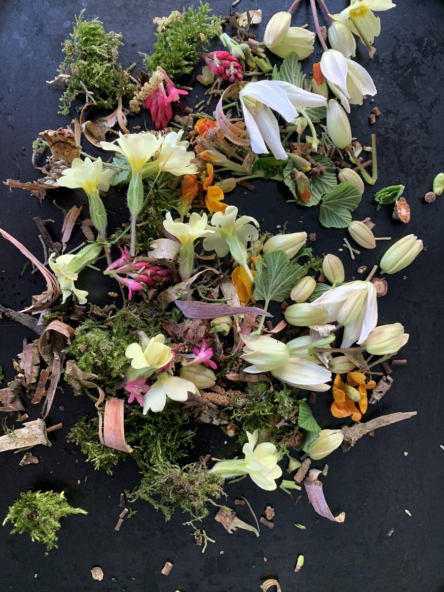 @lillylotuslutonheritage tweet media