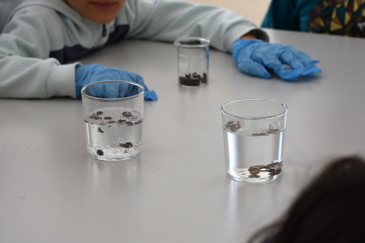 Vaya Elementos tweet media