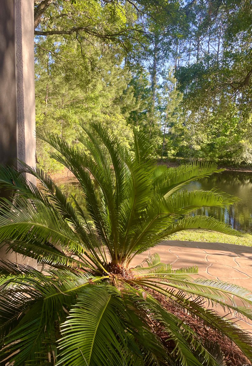 martabeaman tweet media