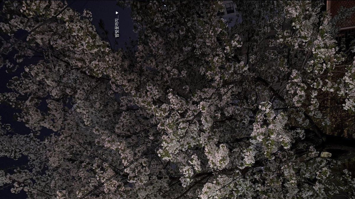 빙글빙글 잘살아갔던 봄