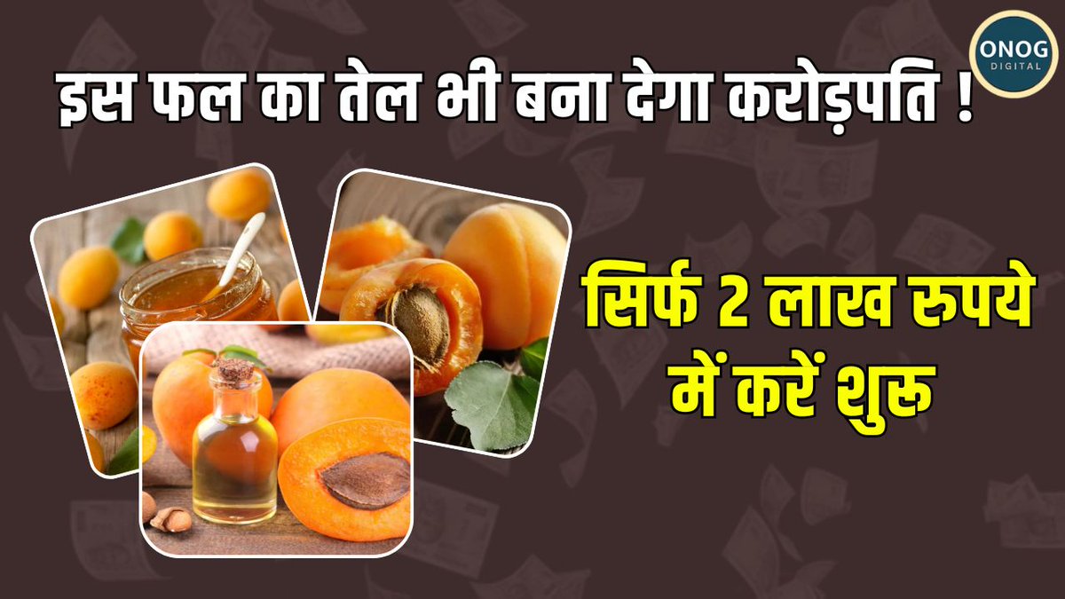 ONOGNews's tweet image. Business Ideas: इस फल का तेल भी बना देगा करोड़पति, सिर्फ 2 लाख रुपये में करें शुरू ! | BUSINES IDEAS
watch video
youtu.be/FdtYHNRqDb8

#Smallbusiness #Oilprocessing #Business