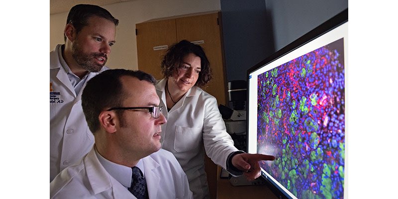 Transforming pancreatic cancer research through collaboration record.umich.edu/articles/trans…