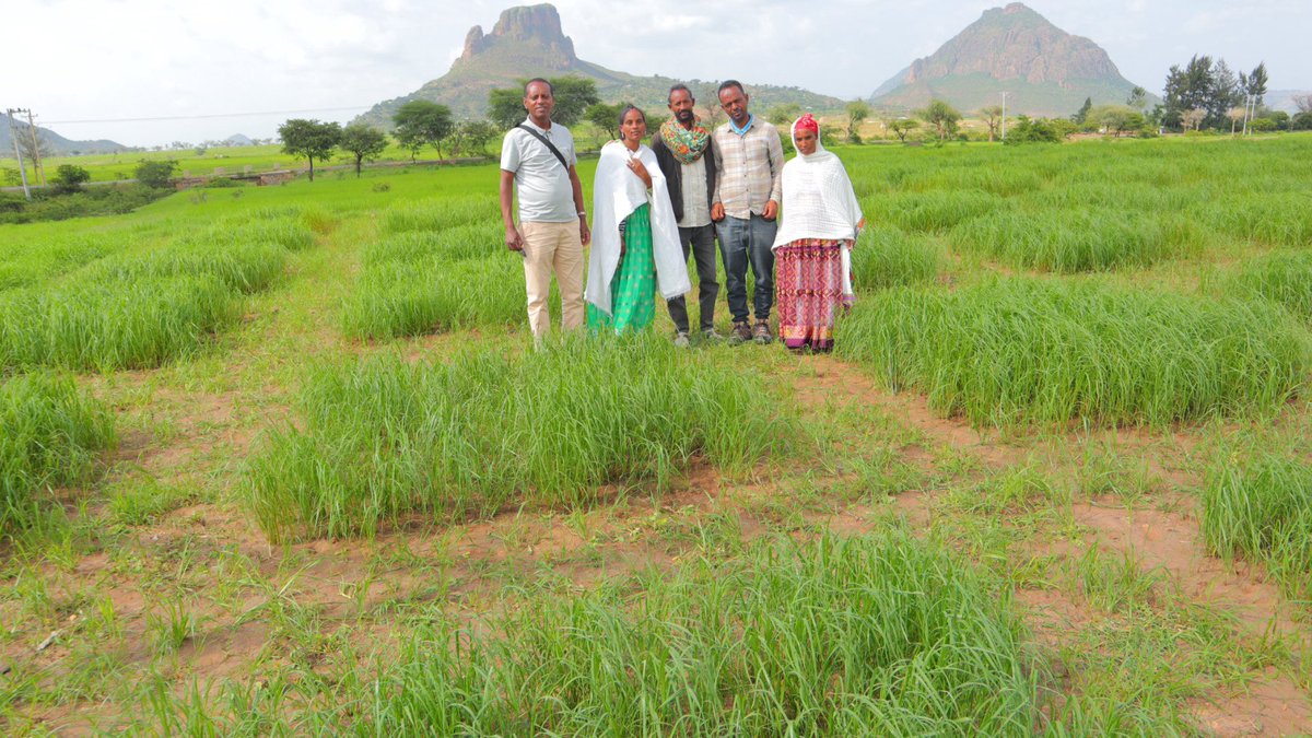 We are excited to share our E-Newsletter that reflects voices of our farming community in Ethiopia.

saa-safe.us14.list-manage.com/track/click?u=…

We value your comments to improve the content &amp; reach to you again with more stories &amp; the successes of our engagements in the agriculture.