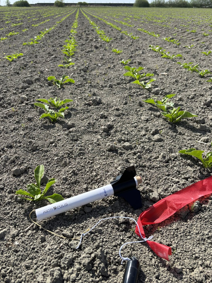 Alle begin is moeilijk, zeker dit jaar voor bieten op zware klei. Ook voor pseudo-ruimtevaarders. 🚀 😉🫣
All beginnings are difficult, especially for sugarbeet on havy clay soils. All beginnings are difficult, even for pseudo astrounauts. 🚀 😉🫣