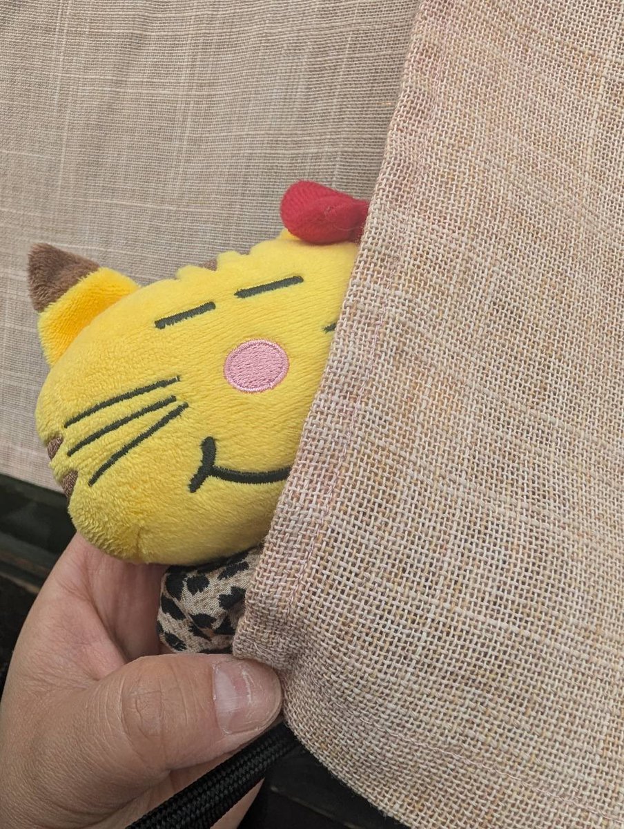 naonao_massu's tweet image. つるとんたん行ってたこやきも食べて
今コーヒー買って帰ろうと思ったら
店員のおねぇさんが『ネコますですね♡』って言ってくれて
話したらしげぴファンでした(*´꒳`*)
嬉しい気分で帰路に着きますε-(/･ω･)/
 #難波  #Tully's