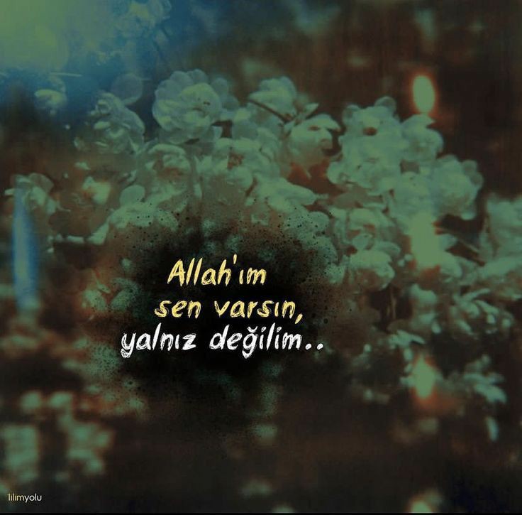 UZİ (@gazatr) on Twitter photo 