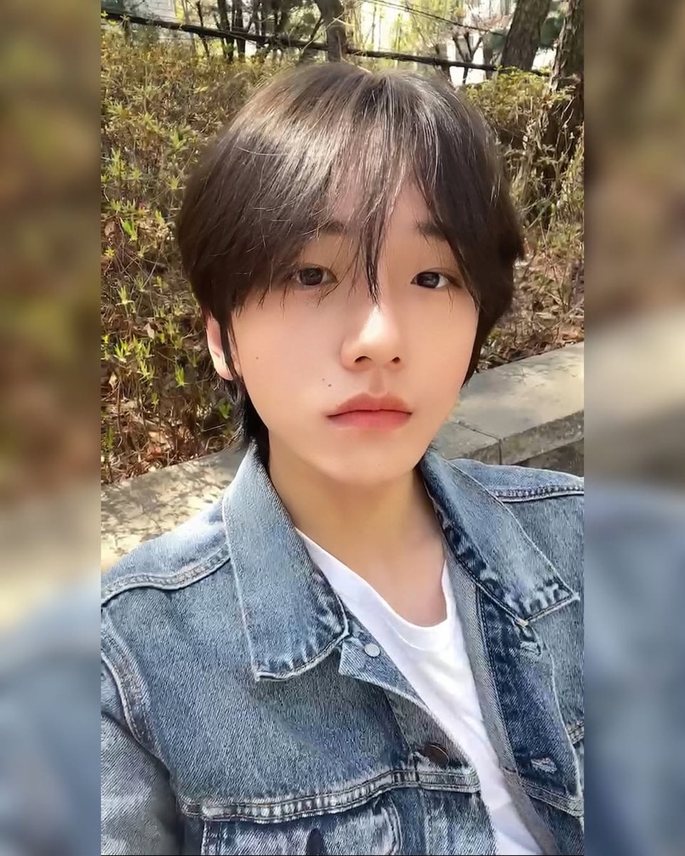 치리 tweet media