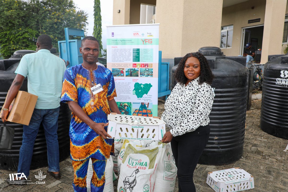 IITAYOUTHAGRIP's tweet photo. Joyful scenes in Oyo as trained youth receive #inputsupport from the @IITA_CGIAR YAS project!
With tools like #solarirrigation, #improvedseeds, poultry, and fish equipment, these #youngfarmers are set to grow their #agribusinesses.
Thanks to @NLinNigeria for their support. https://t.co/klXKXv3kW9