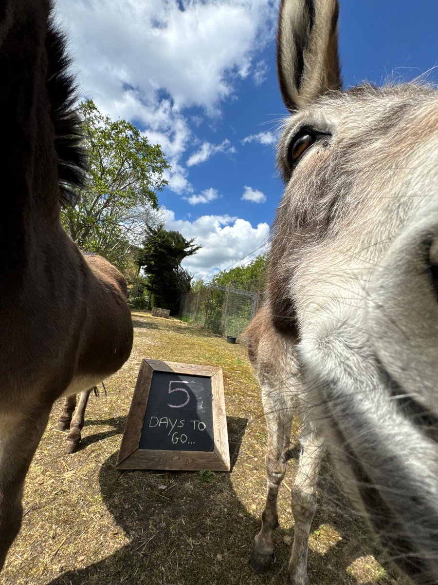 Kentish Town City Farm tweet media