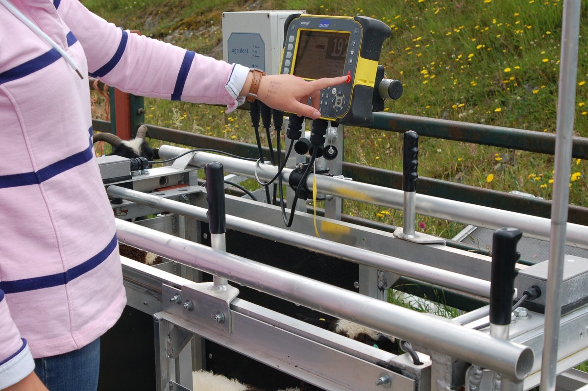 BorderSoftware's tweet image. If you are visiting NSA Welshsheep on 
WEDNESDAY 21ST MAY 
Pop along to STAND 51 where you will find #Bordersoftware showcasing their wares.
Weigh crates,weigh heads,stick readers and of course
#FarmIT3000 software available on a PC and android phone