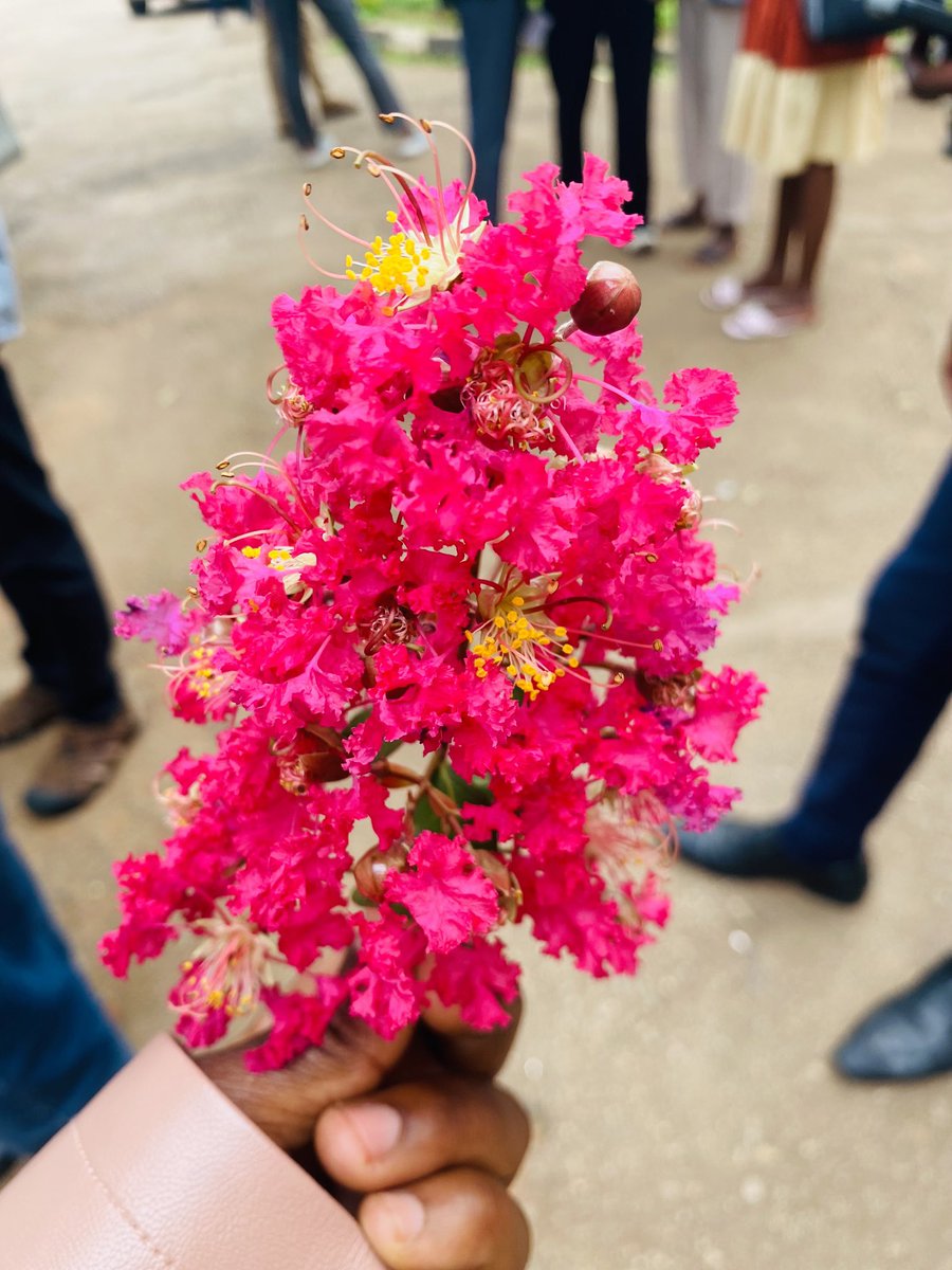 Namuganga Hatwiyah Ssonko (@hatwiyah75943) on Twitter photo How beautiful is it???
Go and get it for your girlfriend 😂😘 <a href="/Omujugujugu1/">Hon. Omujugujugu Moses</a> <a href="/mwegyesasaul/">Mwegyesa Saul</a> How beautiful is it???
Go and get it for your girlfriend 😂😘 <a href="/Omujugujugu1/">Hon. Omujugujugu Moses</a> <a href="/mwegyesasaul/">Mwegyesa Saul</a>