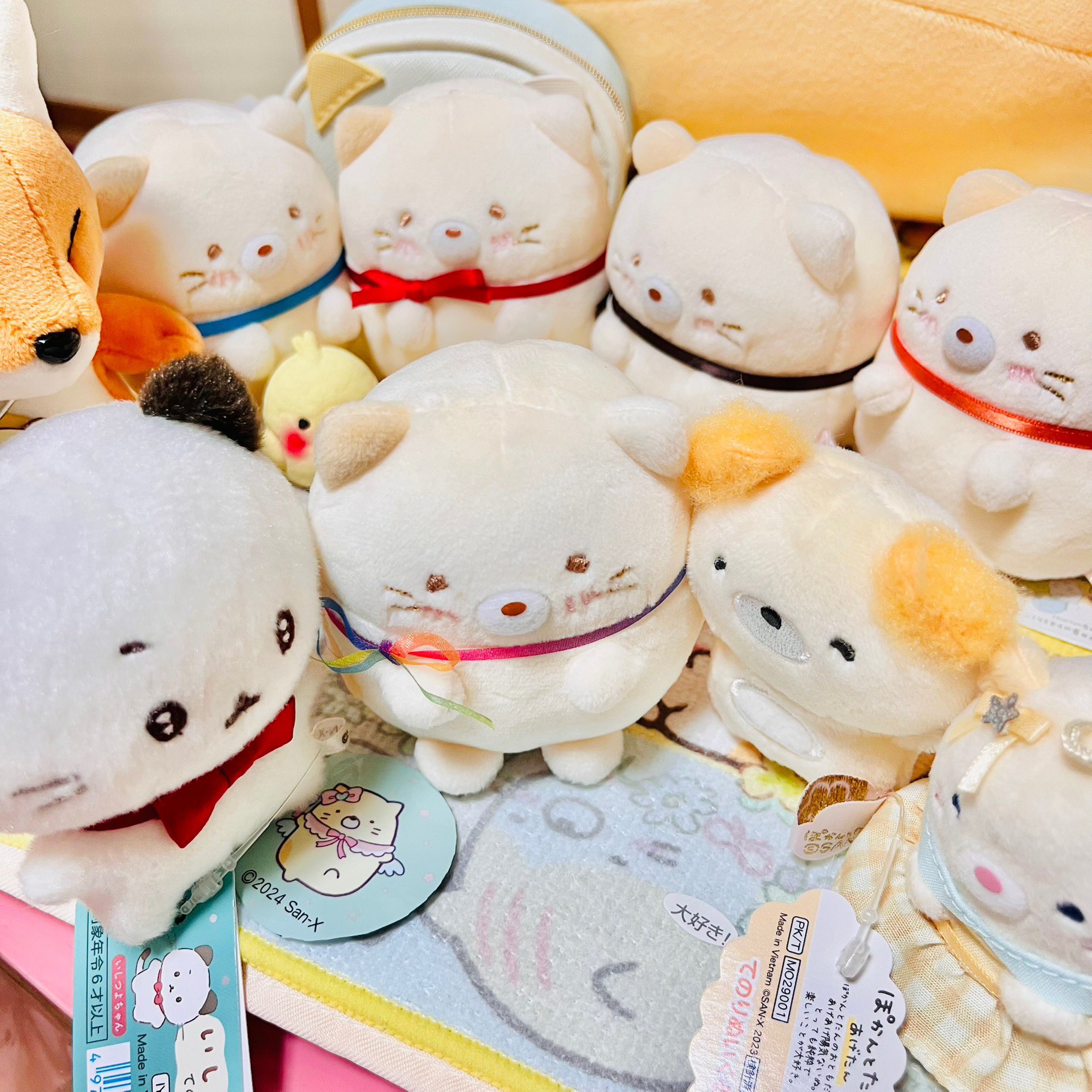 ねこた🐟🐱🍙 (@nekota_GvNvT) / X ねこた🐟🐱🍙 (@nekota_GvNvT) / X