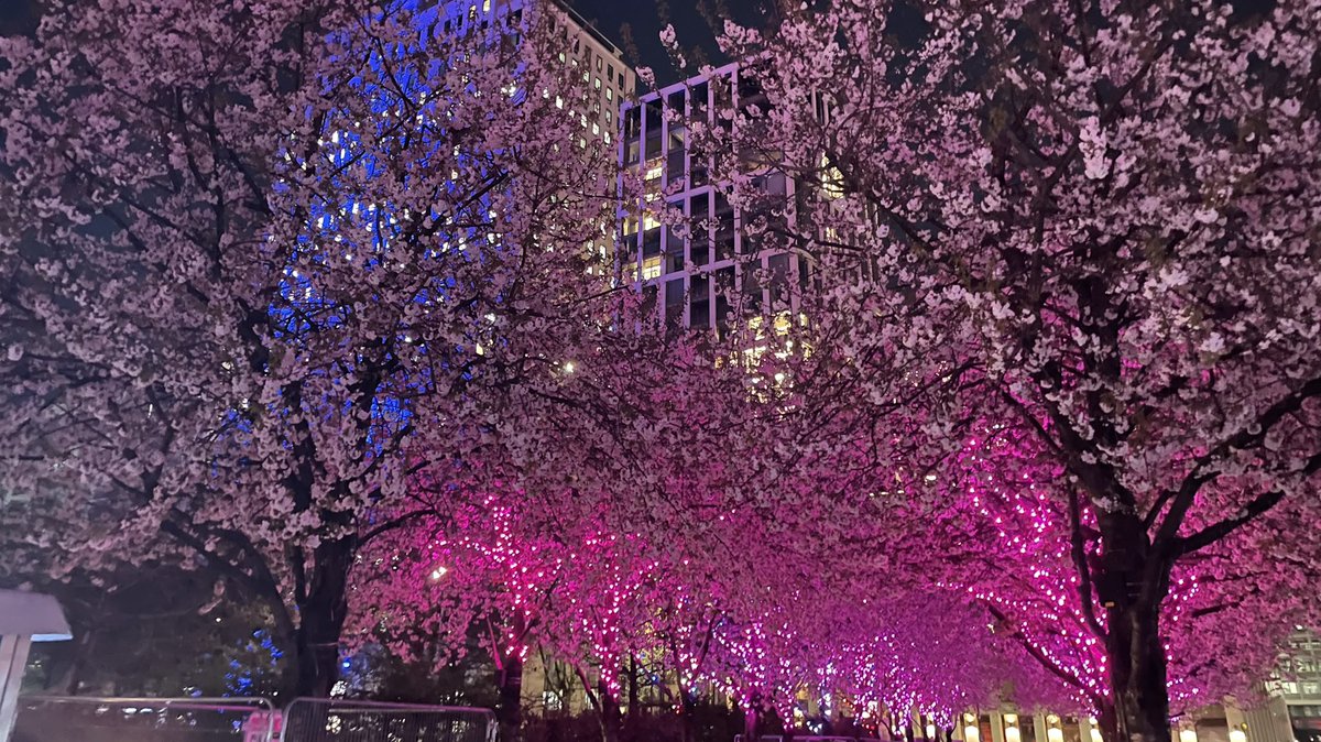 🏙The 4 memories of mine from my visit to London within April, where they were witnessed during my Birthday of 2025, with sights &amp; attendances I cherish across this great outing, especially how the last time I celebrated during a vacation was in 2019 upon visiting Tokyo Japan.🌃