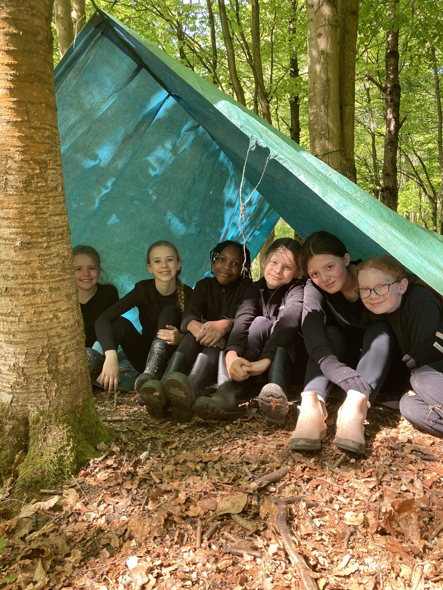 PipersForestSch's tweet image. What fabulous shelters, Year 5! #shelterbuilding #teamwork #pipersprep