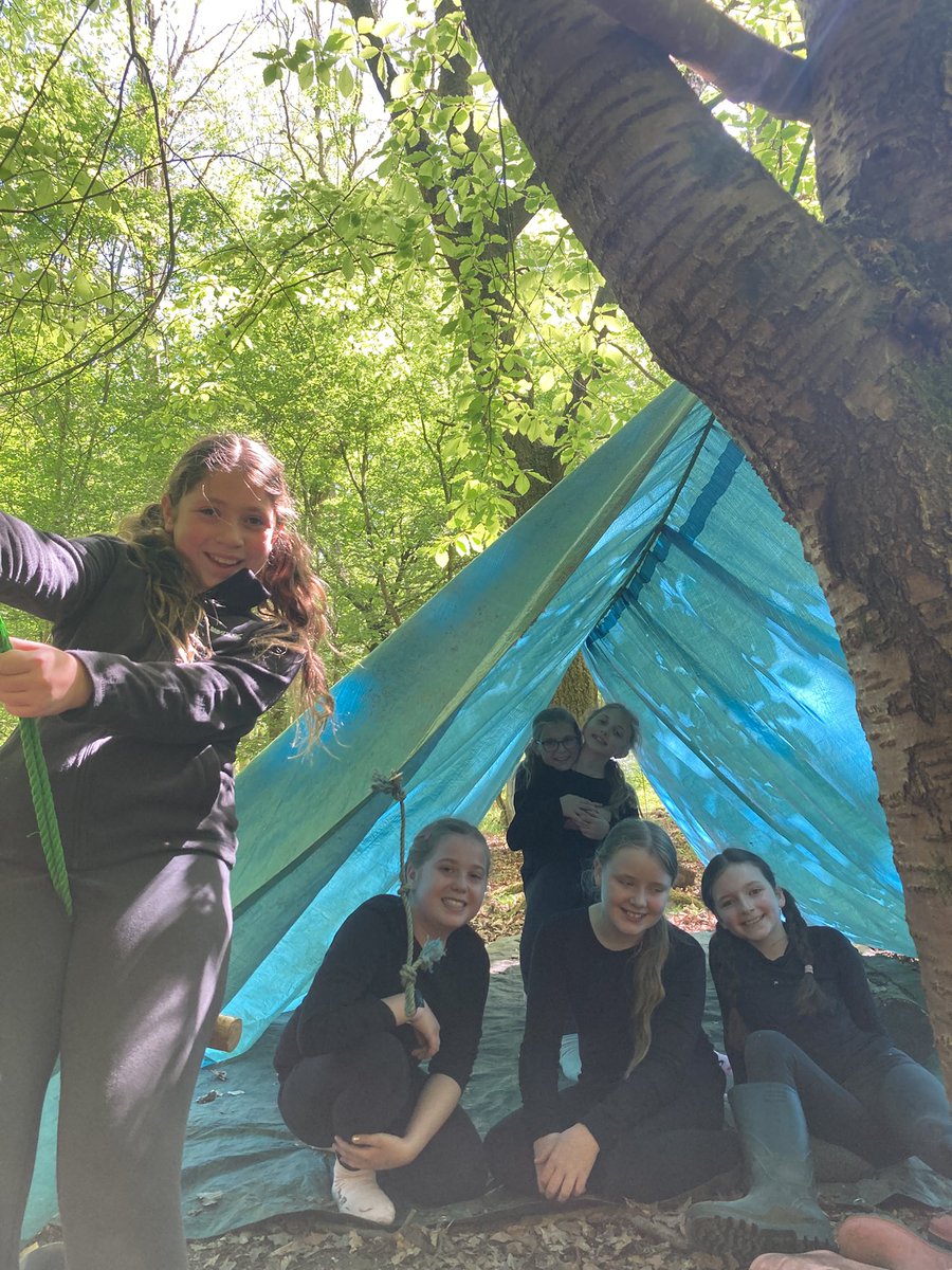 PipersForestSch's tweet image. What fabulous shelters, Year 5! #shelterbuilding #teamwork #pipersprep