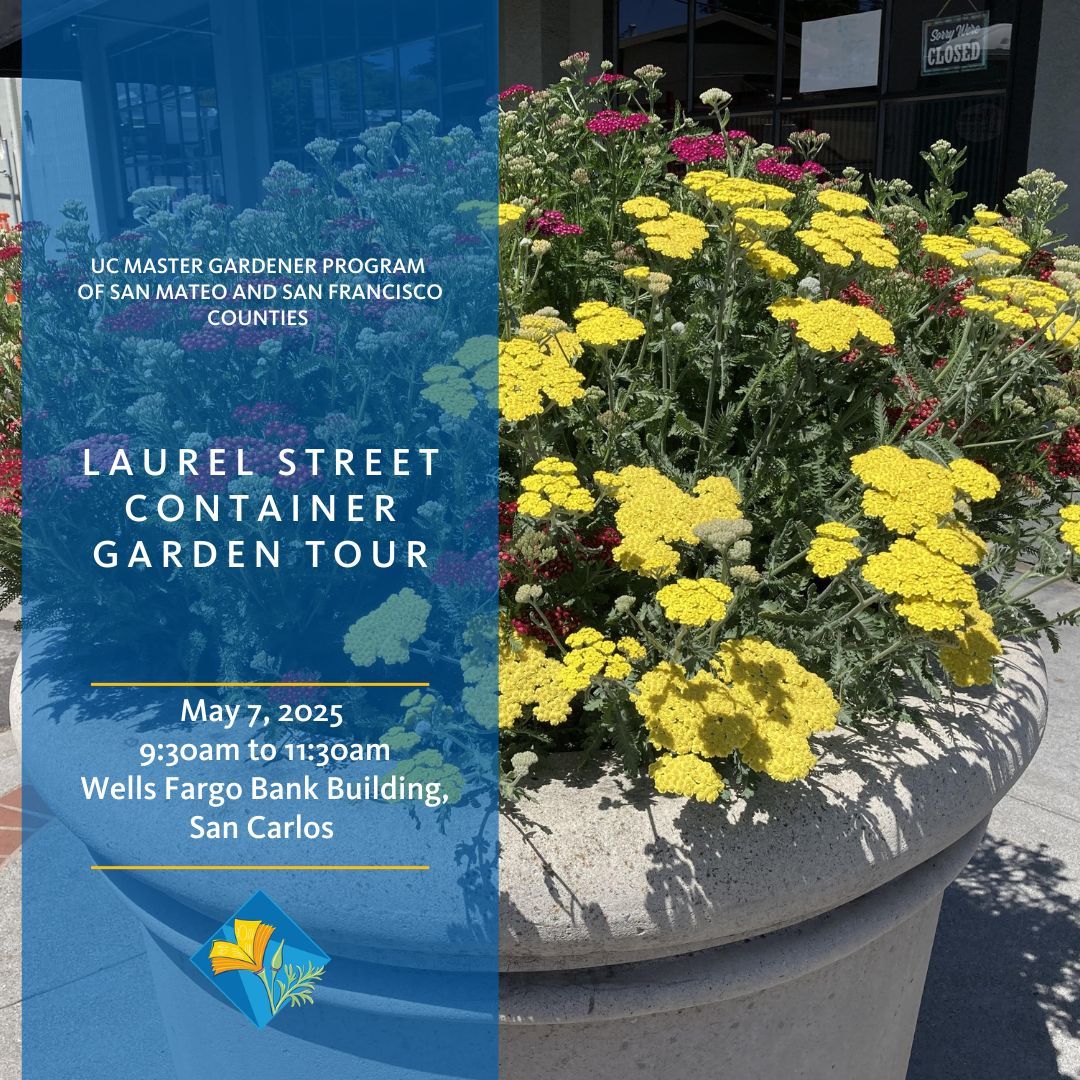 SMSF MasterGardeners tweet media