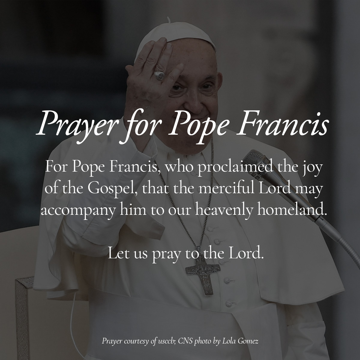 We continue to pray for Pope Francis.  May eternal rest be granted unto him, O Lord...