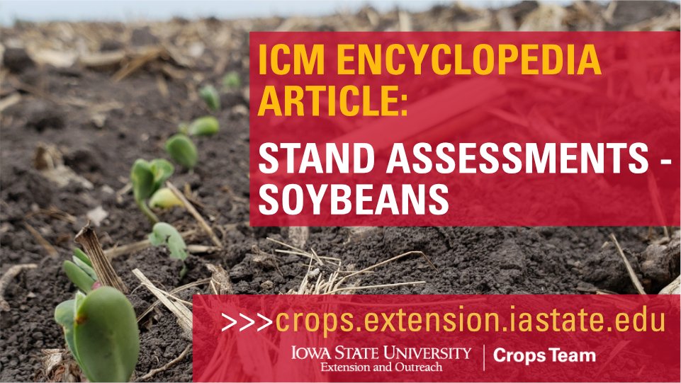 ISU Crop News (@isucropnews) on Twitter photo The first planted soybean fields are also starting to emerge. Take time to assess soybean stands as they emerge. This ICM Encyclopedia Article that goes into more detail on soybean stand assessment: crops.extension.iastate.edu/encyclopedia/s⦠#ISUCrops <a href="/mjanders1/">Meaghan Anderson</a> <a href="/nciacrops/">ISU NC Crops</a> <a href="/rkvittetoe/">Rebecca Vittetoe</a> The first planted soybean fields are also starting to emerge. Take time to assess soybean stands as they emerge. This ICM Encyclopedia Article that goes into more detail on soybean stand assessment: crops.extension.iastate.edu/encyclopedia/s⦠#ISUCrops <a href="/mjanders1/">Meaghan Anderson</a> <a href="/nciacrops/">ISU NC Crops</a> <a href="/rkvittetoe/">Rebecca Vittetoe</a>