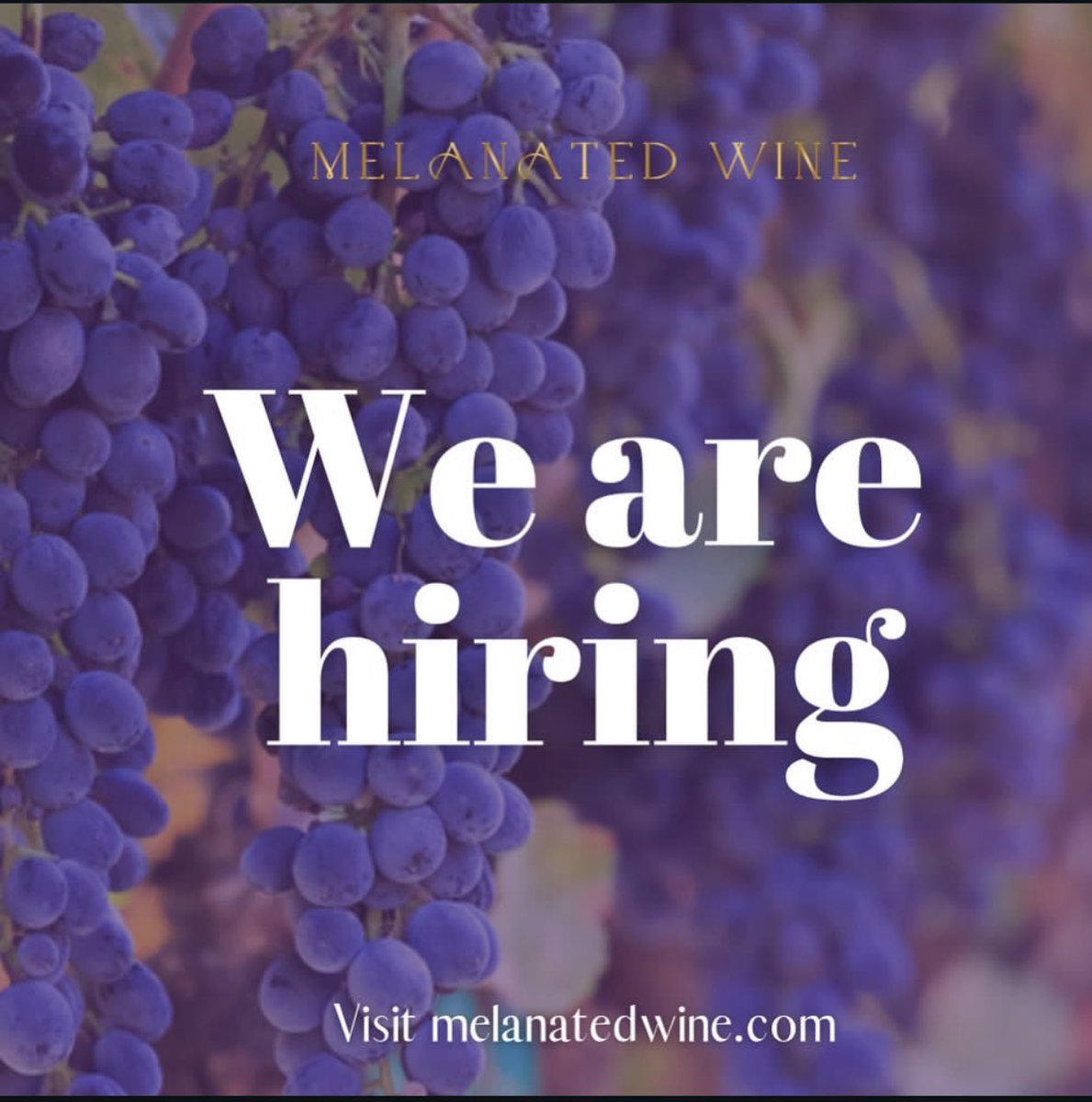 Join the Melanated Wine Team! We're Hiring! 📣

Tasting Room Associates: 

Marketing &amp; Social Media Person: 

Tasting Room Manager: 

If you're passionate about wine and want to be part of a vibrant team, send your resume to info@melanatedwineandspirits.com 

#WineJobs #HiringNow