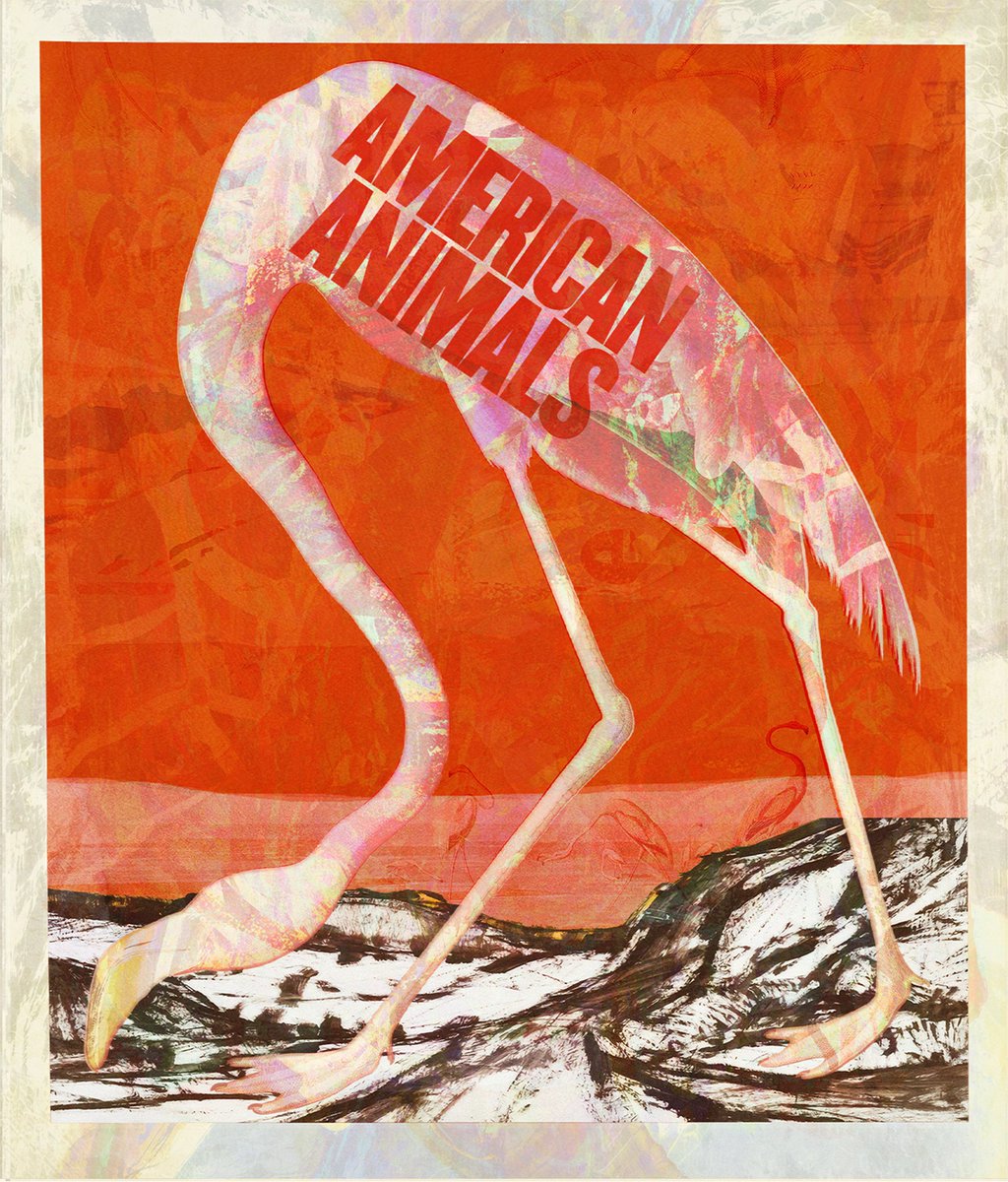 MadeofAlex_'s tweet photo. Here is my submission to @posterspy Home Video Revival art challenge.
I watched Amerivsn Animals recently and really enjoyed it, and decided to make a blue-ray cover for the film.
#americananimals #posterspy #homevideorevival #PosterSpyArtChallenge https://t.co/SxMvmIC0Te