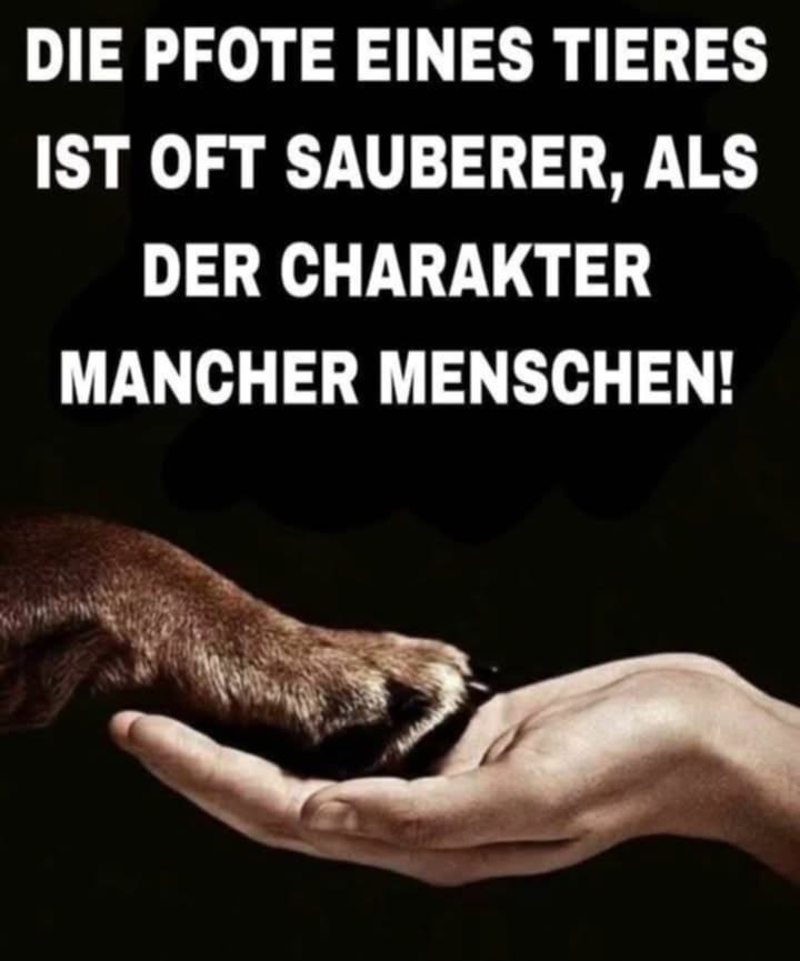 Gem_f_d_Tiere's tweet photo. WIE WAHR!!! https://t.co/dC9qt6sIVU