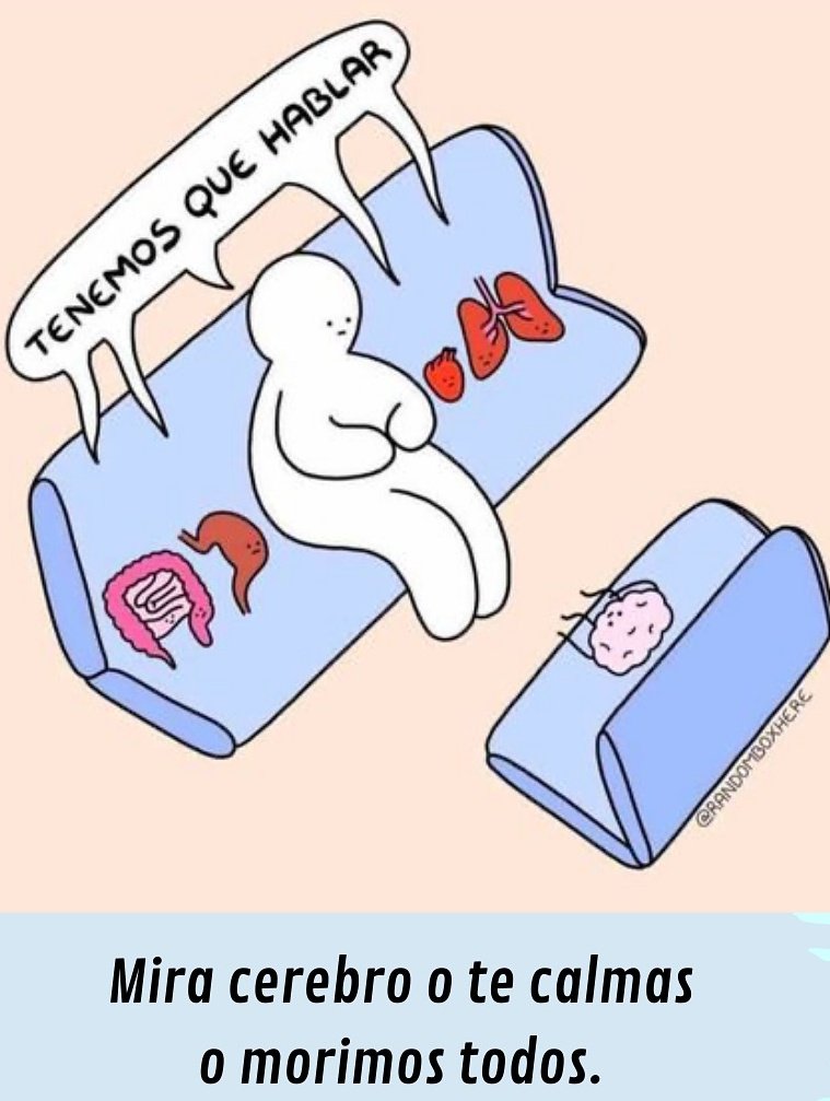 Ana_LaPatata (@ymuchosmemes) on Twitter photo 