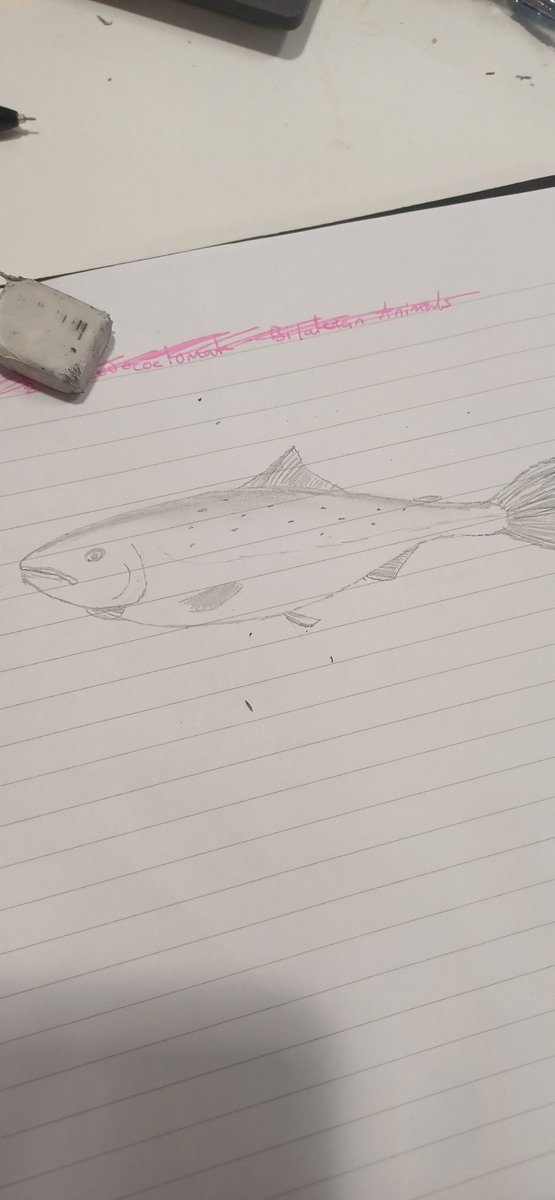 the stuff i do for boss man